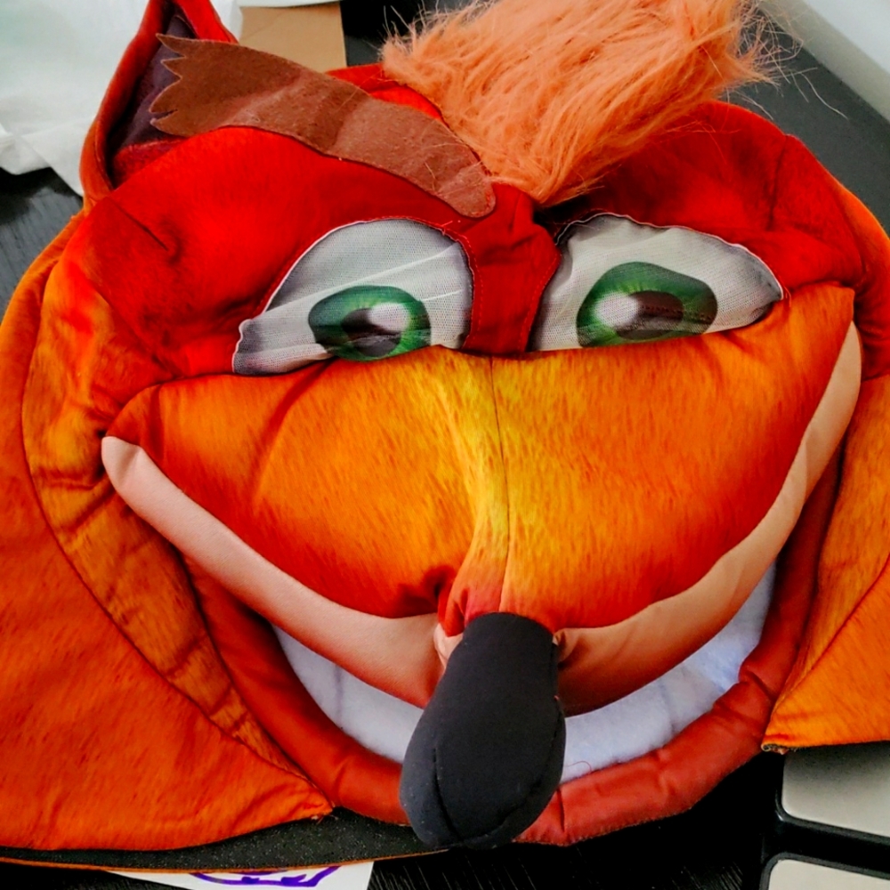 Crash Bandicoot costume.
